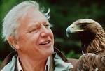Sir David Attenborough - Find the Best Lists | TOOVIA