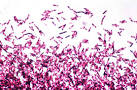 Clostridium Difficile Infection ~ MDNotes