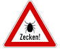 Zecke