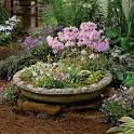 Spectacular Container Gardening Ideas - Southern Living