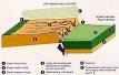 Fault block - Wikipedia, the free encyclopedia