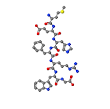 <b>Adrenocorticotropic Hormone</b>