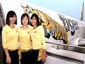 We make pilots fly!: Tiger Airways Cabin Crew
