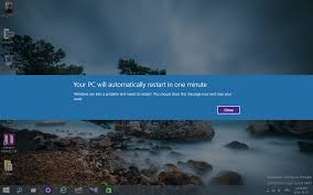 Hey, HM, guess what?  I downloaded Windows 10! Images?q=tbn:ANd9GcSq1Axm5dSjxUTRZadH867Q0HoWxyisoNCiqYpPPAYfstevzLkbww