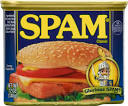 spam pronunciation
