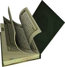 http://t3.gstatic.com/images?q=tbn:ANd9GcSsJCBdN7SIVL_fa_sagnmdCieC57i-AXZRKd-2LNrzRubz0vXY