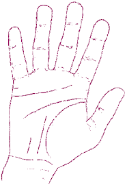 صورة يدين او يد وقبضه للشعارات | يدين | يد | التقاء | تضامن | تماسك Images?q=tbn:ANd9GcSvLCPZFIg7bEt04AwW-Lr0YD5_Q8CVnRaF2FabxMeZSKxdVabu&t=1