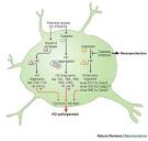of <b>Huntington's disease</b> in