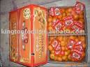honey nanfeng oranges products,China honey nanfeng oranges supplier
