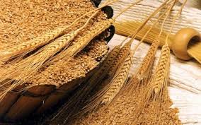На Смілянщині зібрано озиму пшеницю на 86% площ 