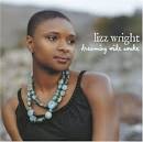 Lizz Wright - Dreaming Wide AWAKE Lyrics