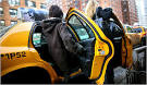 City Critic - Hesitant to Share a Cab, but Sometimes Spilling ...
