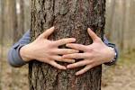 Movimento come “<b>conoscenza</b>”