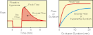 CV Physiology: Reactive <b>Hyperemia</b>