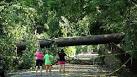 Storms: Mid-Atlantic Power Outages Could Last Days - ABC News