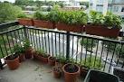 Balcony Gardening Ideas | Garden Ideas Picture