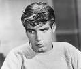 Don Grady on the popular and