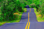 Rules of the Road Trip | RIZZARR