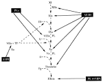 <b>antithrombin III</b> (AT <b>III</b>),