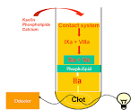 The APTT is the <b>time</b> taken for