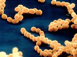 Communication of antibiotic knowledge - free online support for physicians