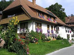 29. September 2008. Blumenpracht wird viel bewundert. Blühendes Wieden: Maria Klingele hat ihr Haus wunderschön geschmückt