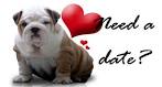 Wanted: Dog Lover – Finding a Pet Lover to Date, Dog, Cat and