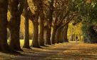 Let us rejoice that September is here, when all that is gracious ...