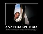 Anatidaephobia pronunciation