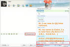 How to use chat history? | QQ International