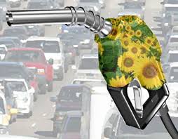 Fuel pump handle with sun roses on the handle. Photo