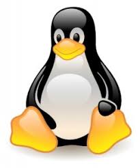 Acelerar un poco GNU/Linux en pc modestas Images?q=tbn:ANd9GcTR_uJam-62RQgzBGu0e6Hcv1UCxEerRN4J69qk4lJc-Krj_HSW&t=1