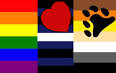 File:GAY LEATHER BEAR CUB RADIO FLAG.jpg - Wikimedia Commons