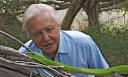 Sir David Attenborough, who is "thrilled" to be part of Sky's 3D channel. - Sir-David-Attenborough-001