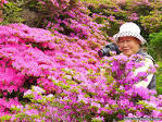 Toursgallery escorted small group Japan Tours Special Interest Tours