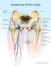 <b>Hip</b> pain is a nonspecific