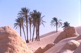 صور لصحراء جنوب تونس Images?q=tbn:ANd9GcTZtPZ-iNFCo6Vz5Y6uC7irjwYgOKkUD6bj-pFkgdyj3pmjBDwr