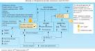 between <b>hyperandrogenism</b>,