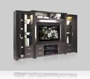 Chrystie Wall Unit for Thin Panel Mounted TV