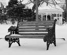 Winter Snow, Festivals and now.. Benches