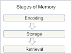 <b>Memory</b> is involved in