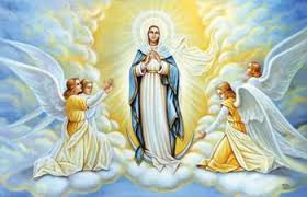 Assomption de la très sainte Vierge Marie - Page 2 Images?q=tbn:ANd9GcTh7XAe0CcF3ZdY8etDrXcjHc_3RCPUYr8iIIQfOwsIUi3Mvfj7MQ