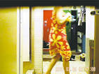 Spy-cam in women's change room - Winnipeg Free Press