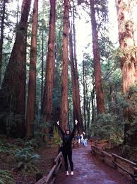 Hello, SoundCloud Community by Kristina Weise. Hey Kristina, thank you for taking the time to answer these questions and do this Fun Friday interview! - KW-in-Muir-Woods-Cali