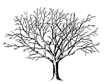 The Graphics Fairy LLC*: Vintage Halloween Clip Art - Spooky Trees