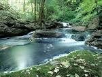Rapid Mountain Stream | Desktop Wallpapers free