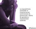 <b>Esquizofrenia</b> paranoide