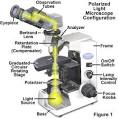 Olympus Microscopy Resource Center | Polarized Light Microscopy ...