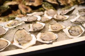 Image result for food CAPE COD oysters