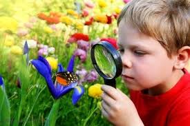 boy with magnifier on butterfly